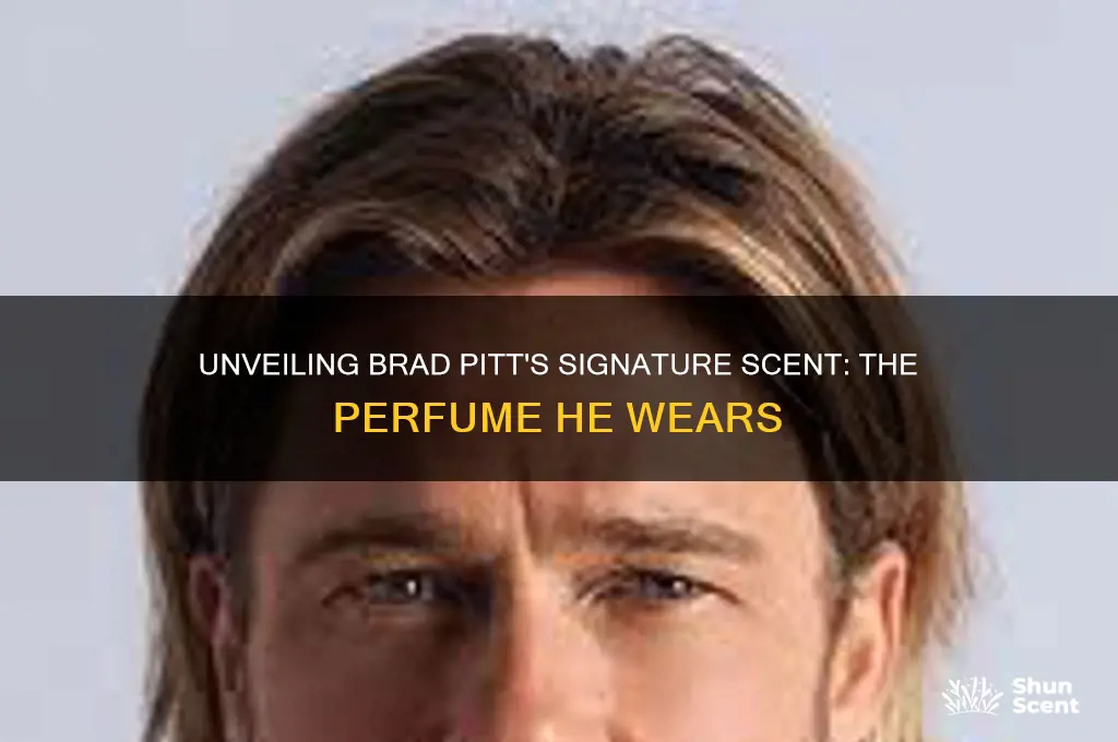 what perfume does brad pitt wear