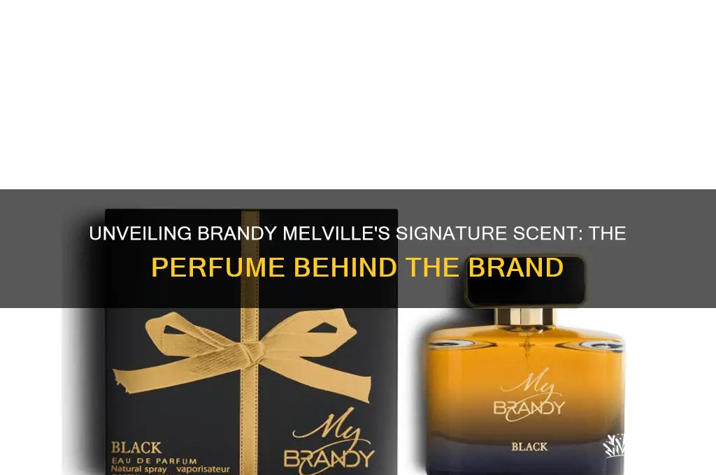what perfume does brandy melville use