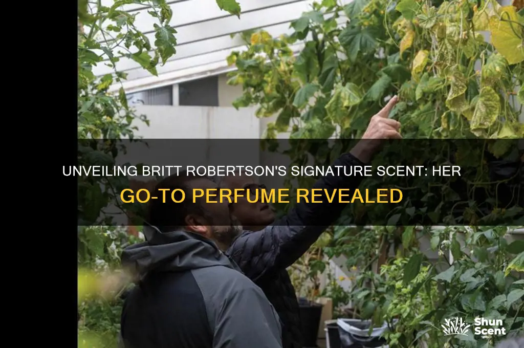 what perfume does britt robertson wear