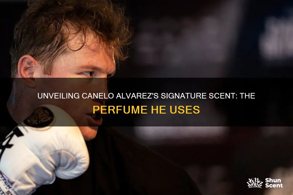 what perfume does canelo use