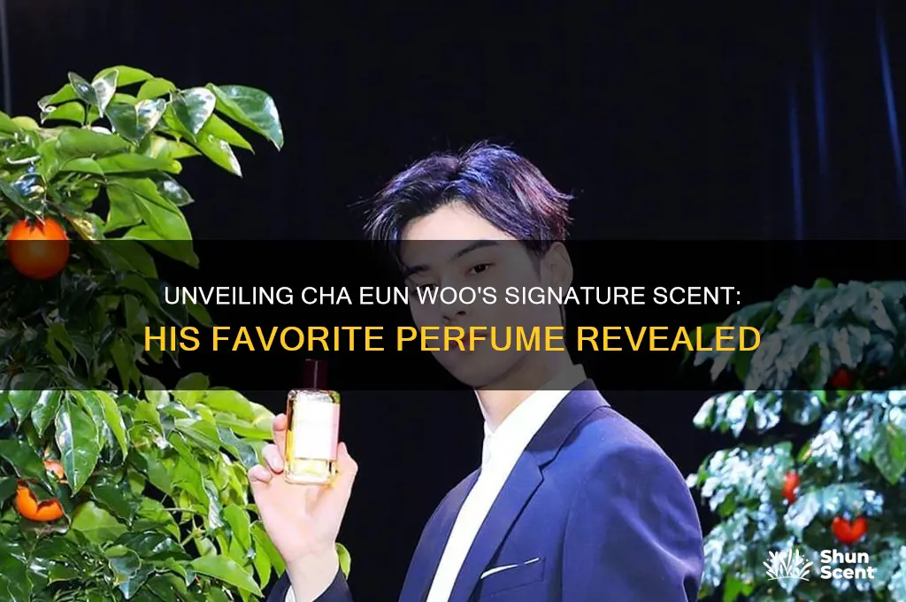 what perfume does cha eun woo wear