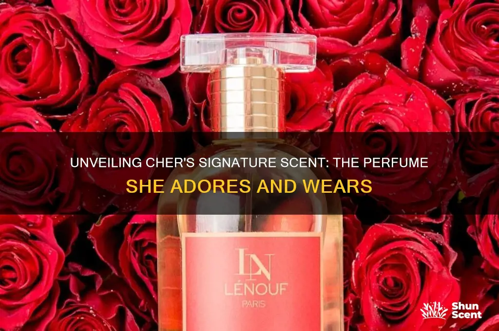 what perfume does cher wear