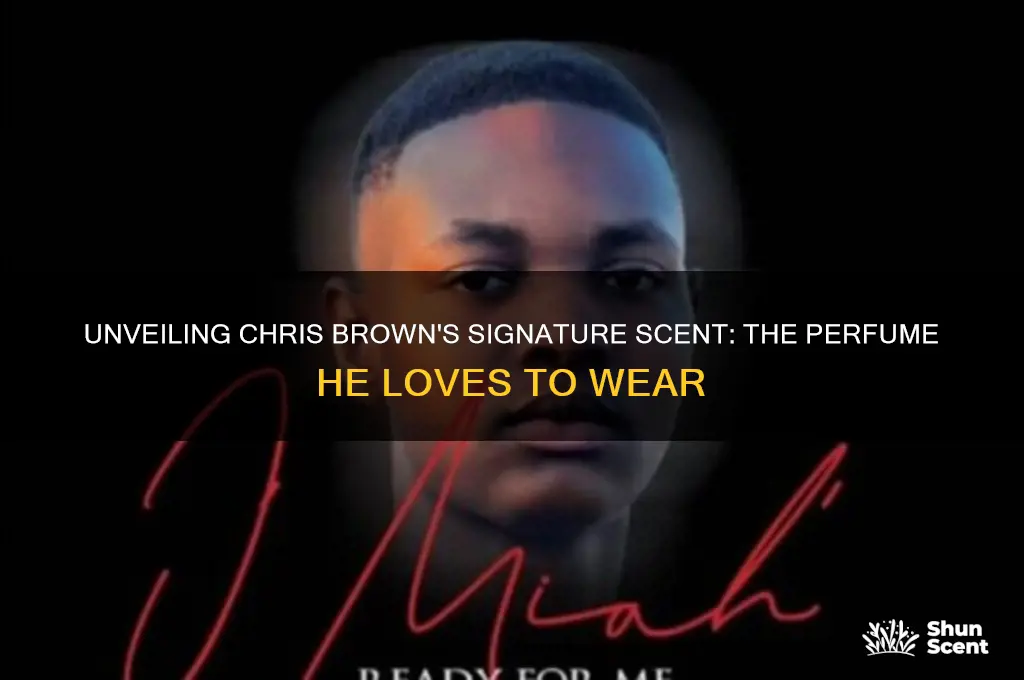 what perfume does chris brown wear