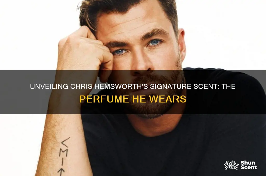 what perfume does chris hemsworth wear