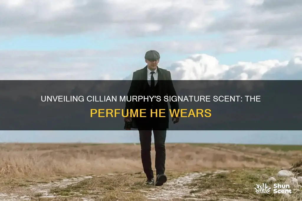what perfume does cillian murphy use