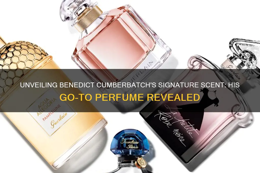 what perfume does cumberbatch use