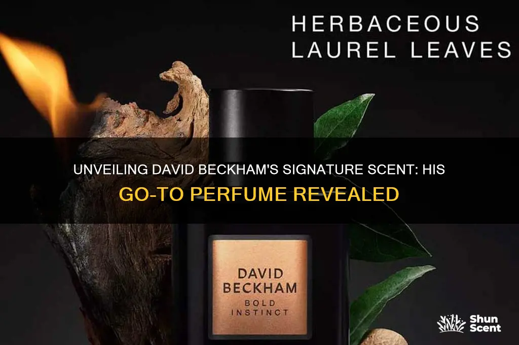 what perfume does david beckham wear