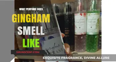 Gingham Scents: Discover the Fragrance Family
