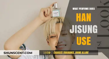 Unveiling Han Jisung's Signature Scent: The Perfume He Uses