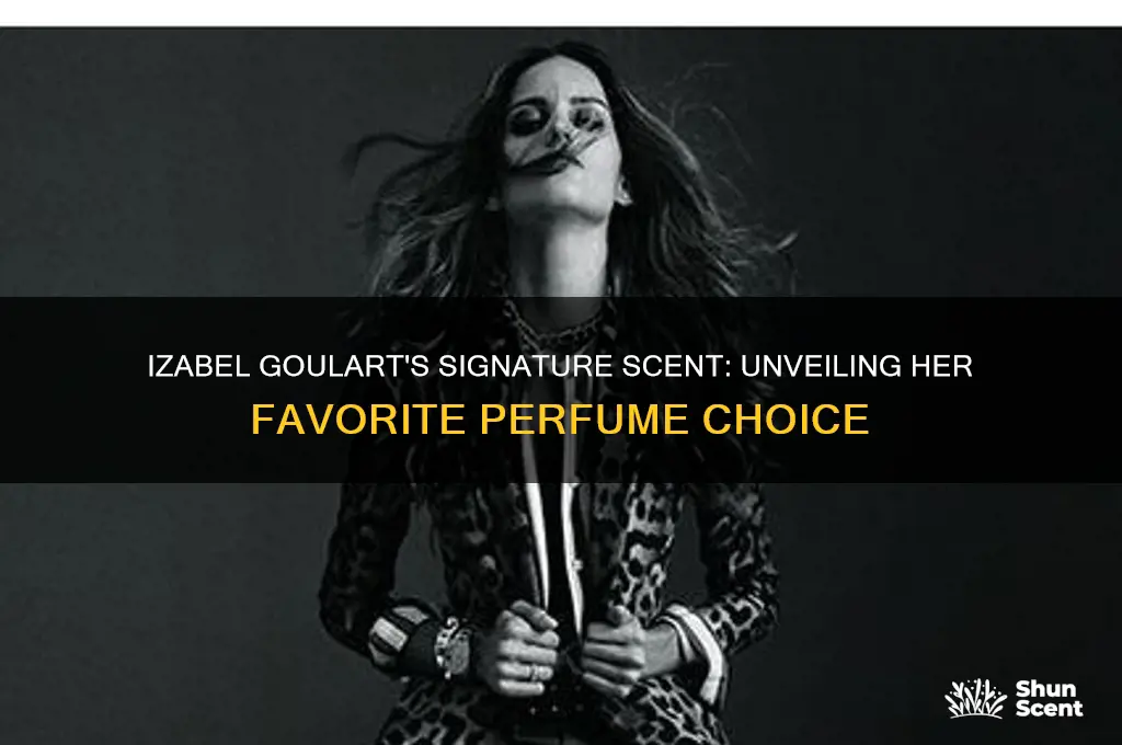 what perfume does izabel goulart wear