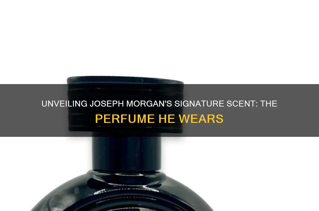 what perfume does joseph morgan wear