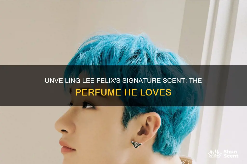 what perfume does lee felix use