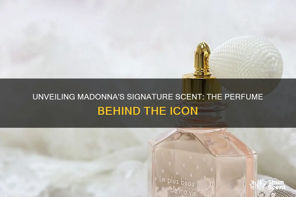 what perfume does madonna wear