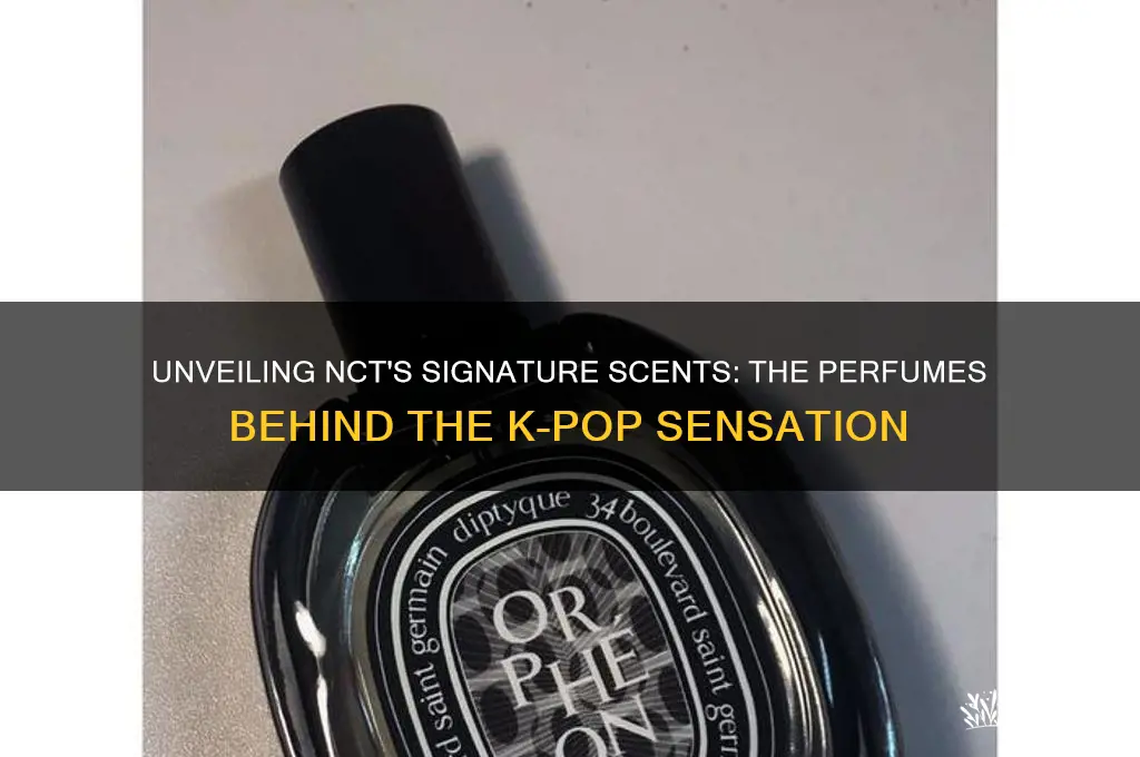 what perfume does nct use