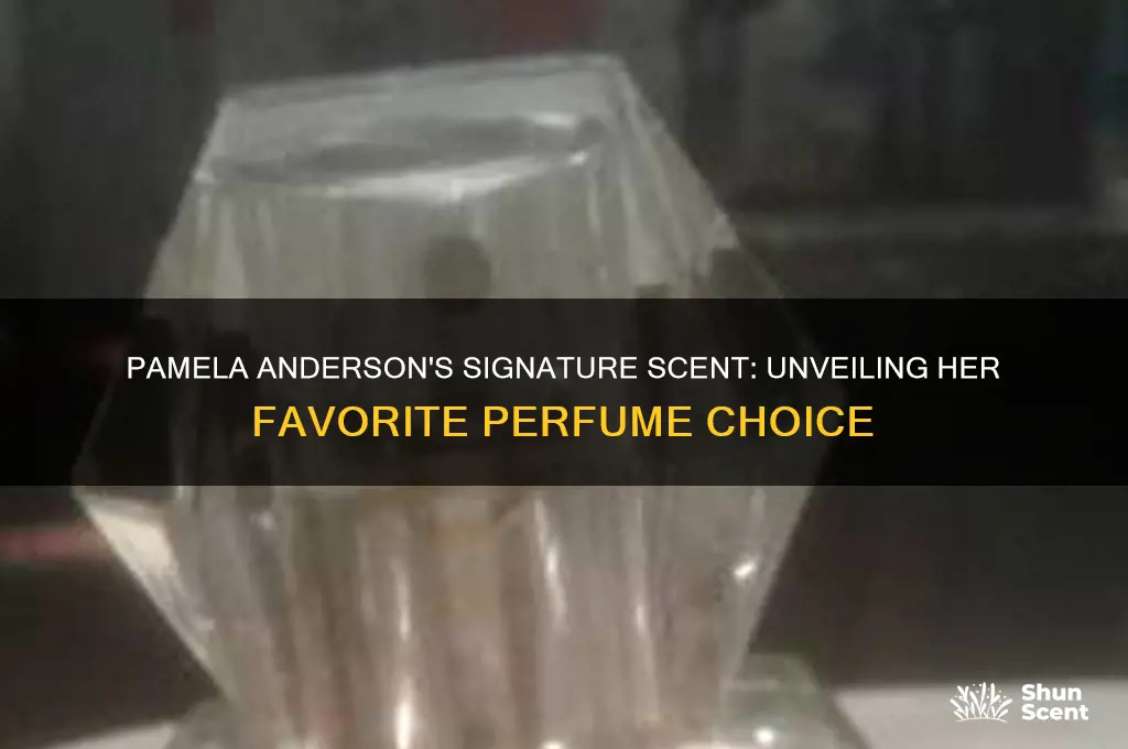what perfume does pamela anderson wear