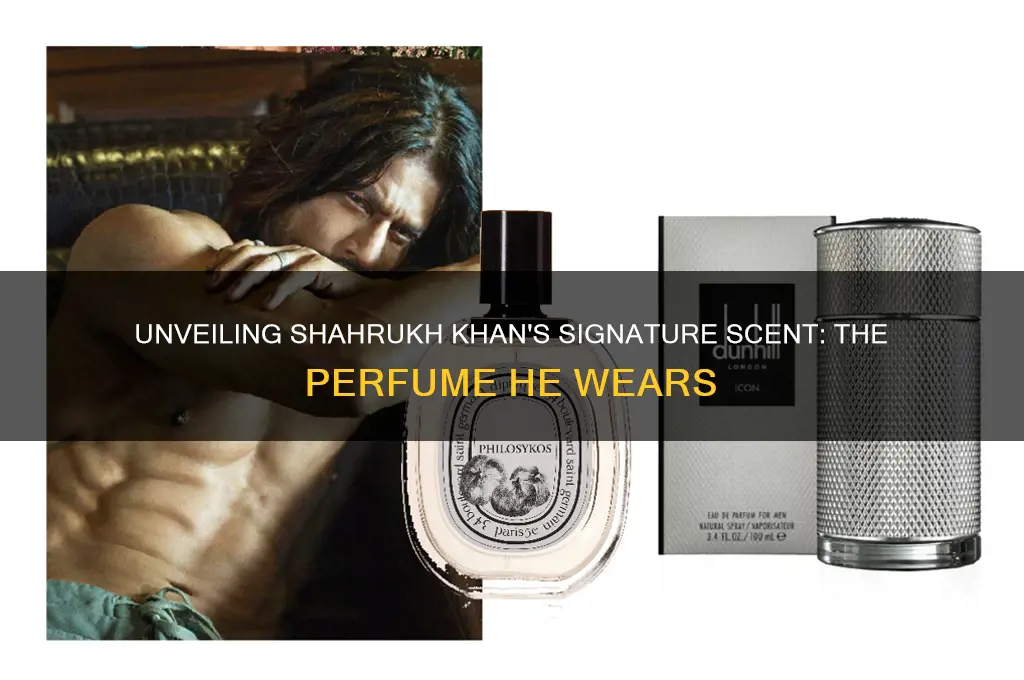 what perfume does shahrukh khan wear