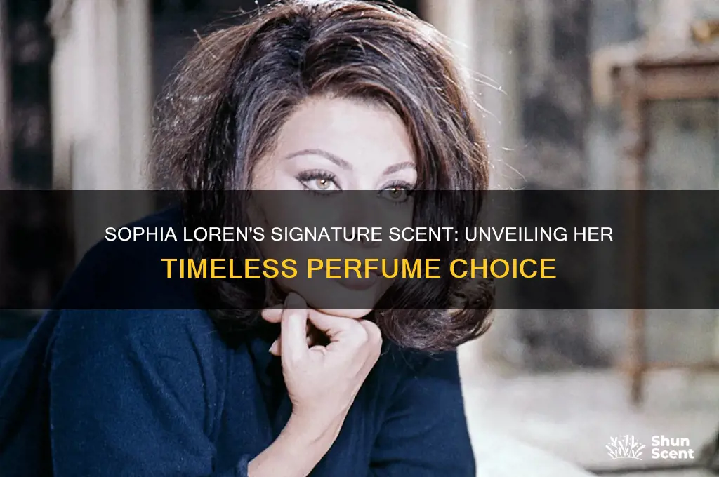 what perfume does sophia loren wear