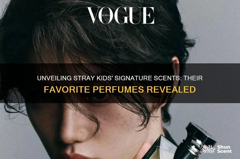 what perfume does stray kids use