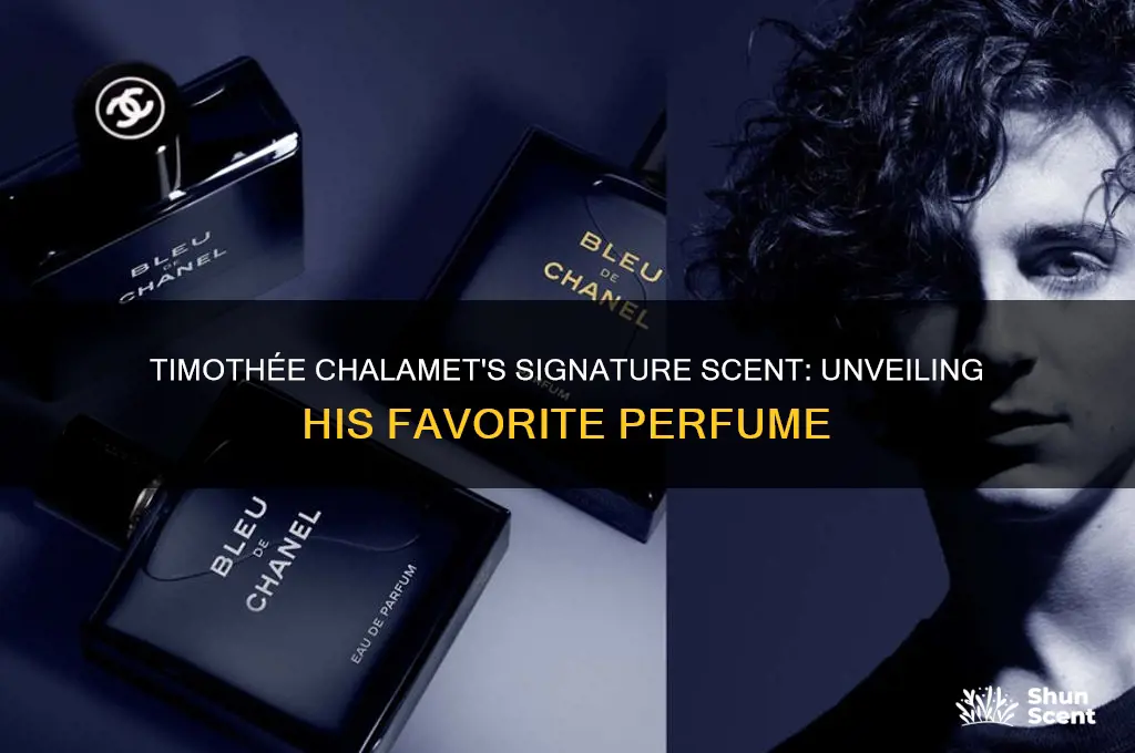 what perfume does timothee chalamet