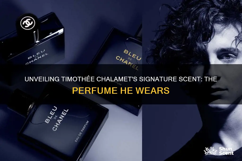 what perfume does timothee wear