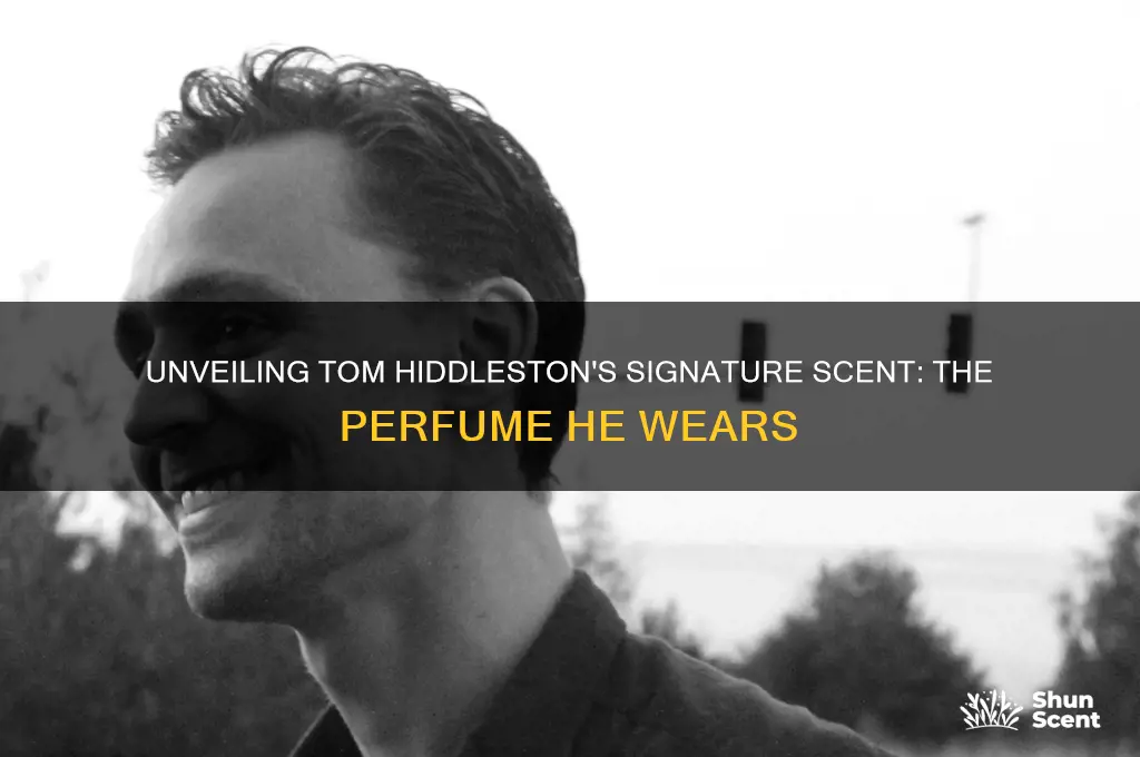 what perfume does tom hiddleston wear