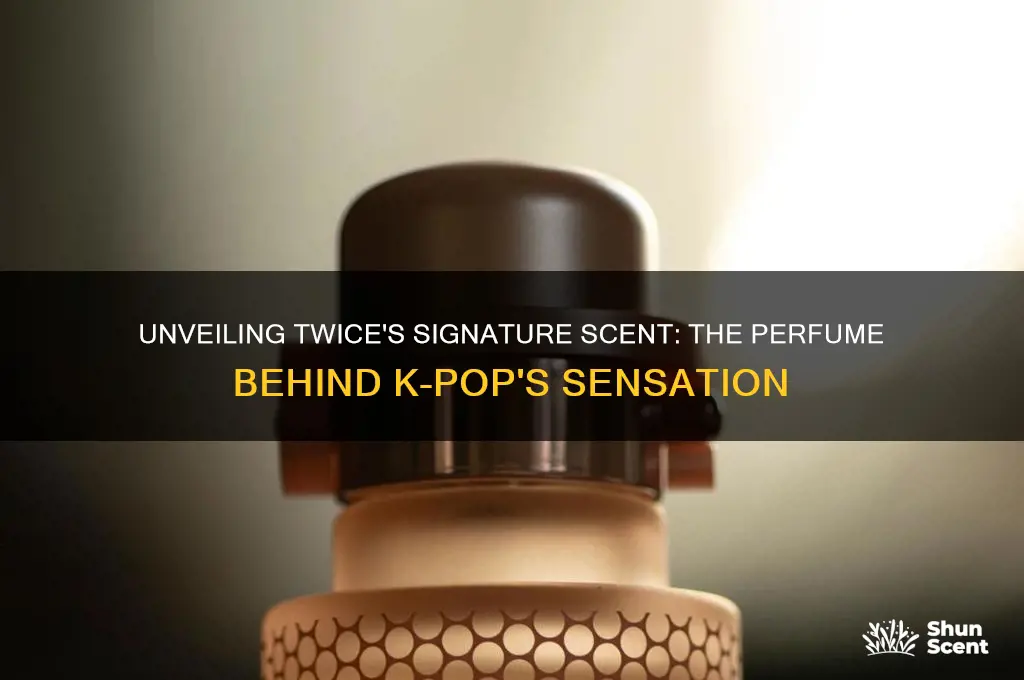 what perfume does twice use