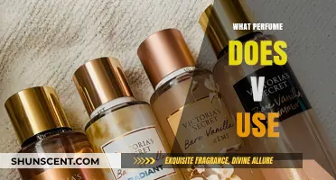 Unveiling V's Signature Scent: The Perfume Mystery Decoded