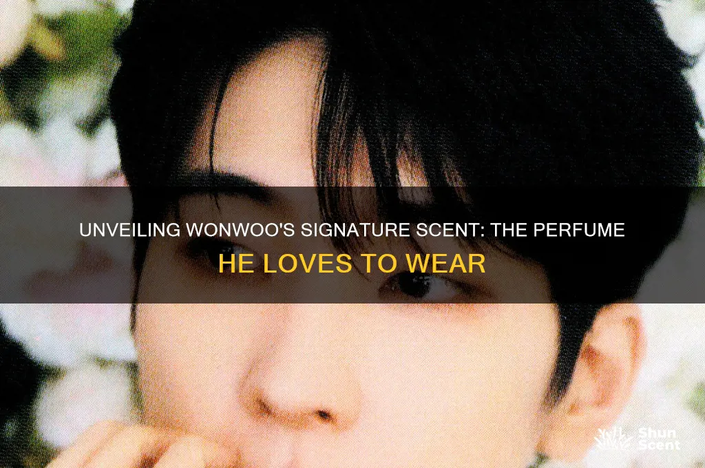 what perfume does wonwoo use