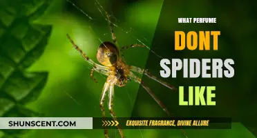 Natural Spider Repellents: Perfumes and Scents That Keep Spiders Away
