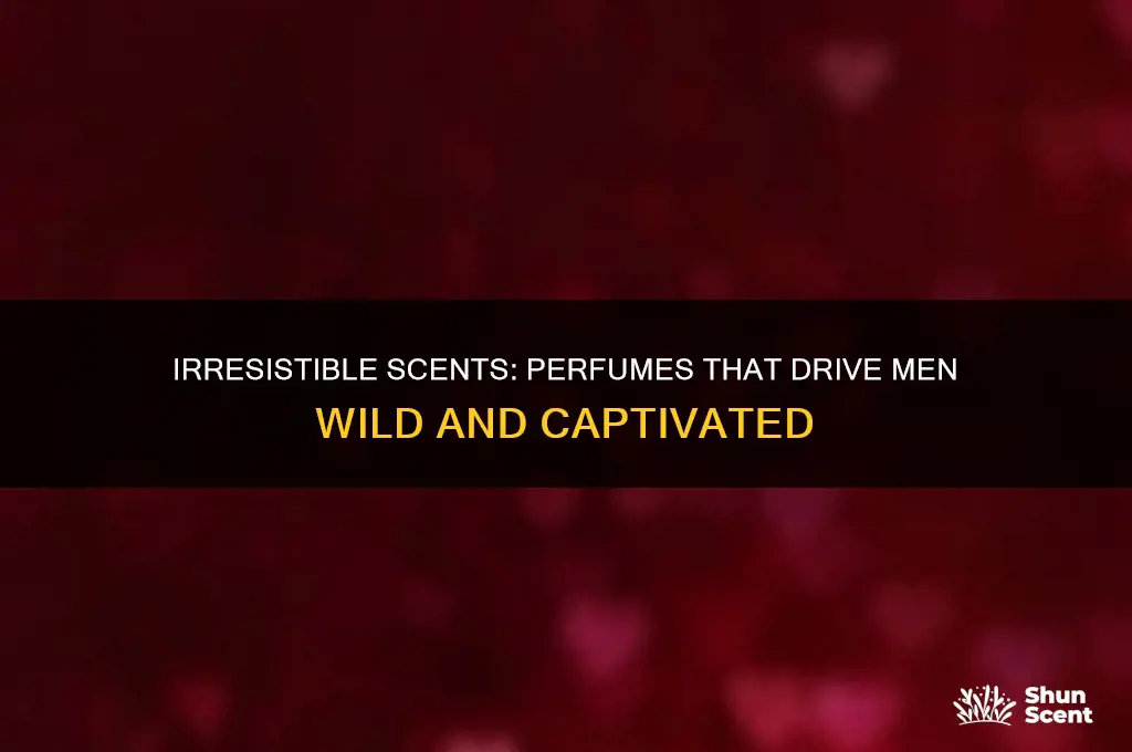 what perfume drives a man crazy