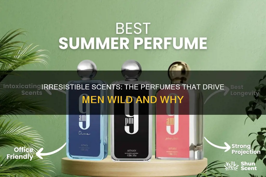 what perfume drove you wild men