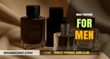 Top Masculine Fragrances: A Guide to Choosing the Perfect Men's Perfume