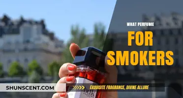 Best Perfumes for Smokers: Masking Smoke and Enhancing Your Scent