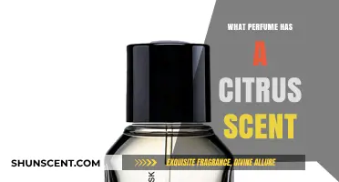 Discover the Best Citrus Scents: Perfumes That Brighten Your Day