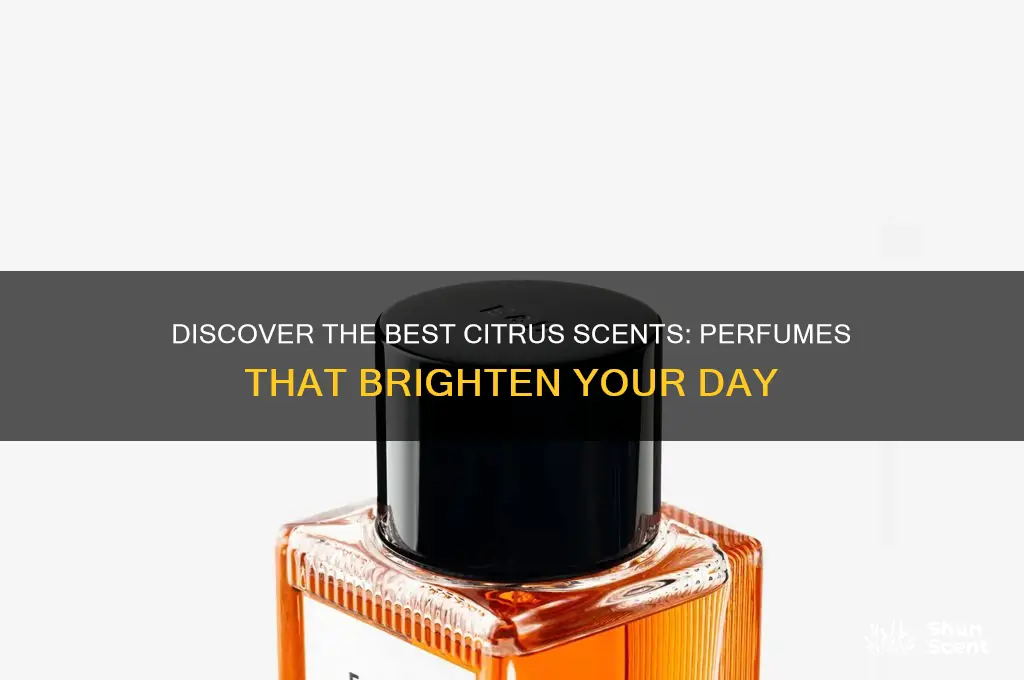 what perfume has a citrus scent