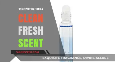 Discover the Best Clean, Fresh Perfumes for a Crisp Scent
