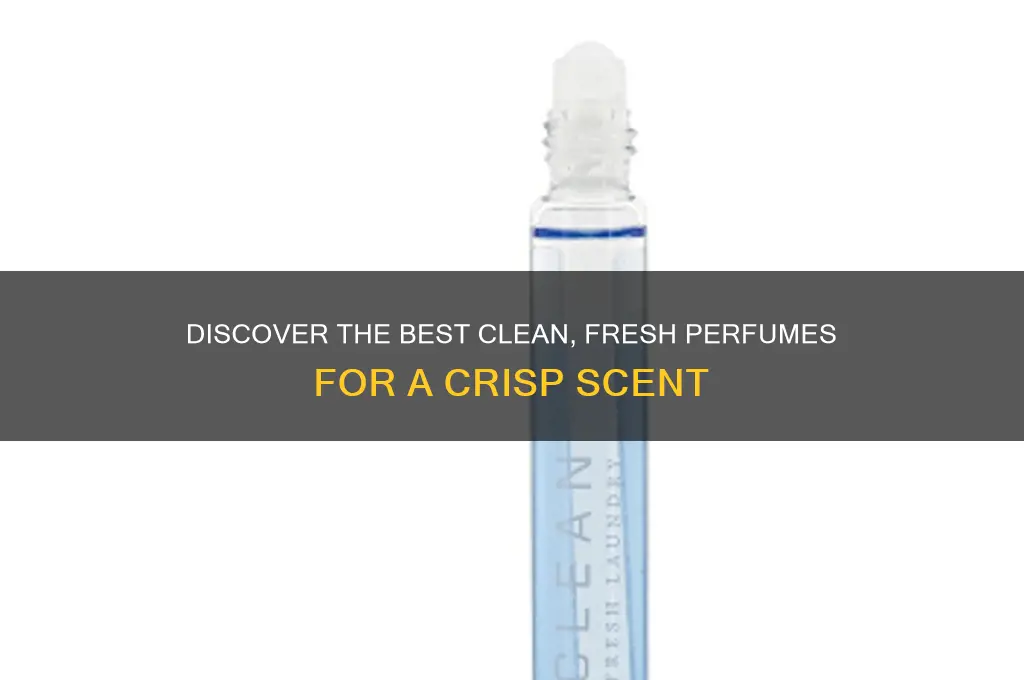 what perfume has a clean fresh scent