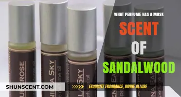 Discover Musk-Infused Sandalwood Perfumes for a Warm, Sensual Aroma
