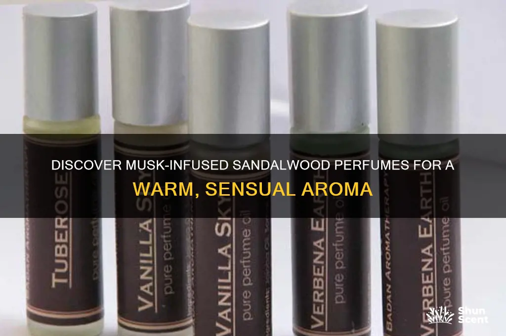 what perfume has a musk scent of sandalwood