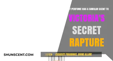 Discover Scents Like Victoria's Secret Rapture: Top Perfume Alternatives
