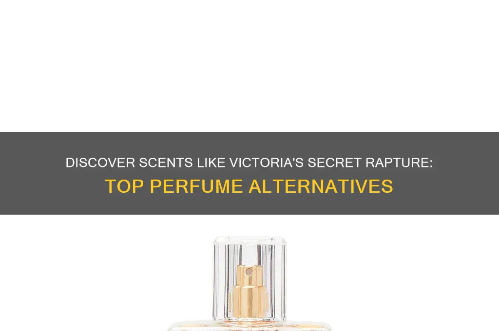 what perfume has a similar scent to victoria