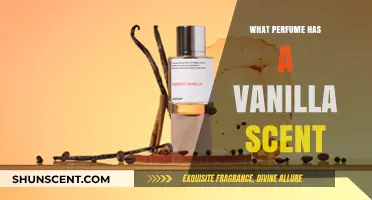 Discover the Best Vanilla Scent Perfumes for a Sweet Aroma