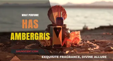 The Alluring Scent of Ambergris: Which Perfumes Include It?