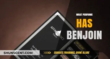Discover Perfumes with Benjoin: A Guide to This Unique Scent