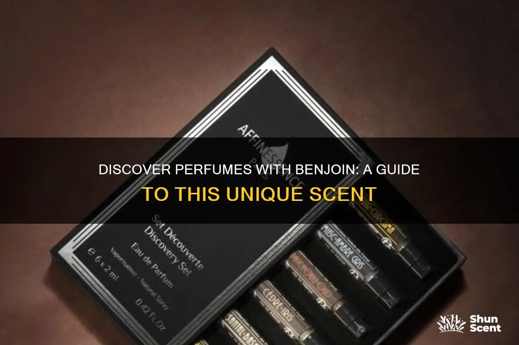 what perfume has benjoin