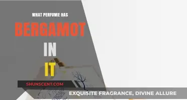 Discover Bergamot-Infused Perfumes: Top Scents with Citrus Elegance