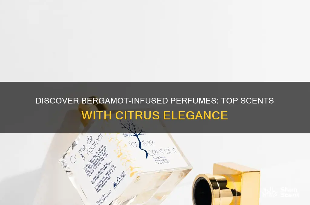 what perfume has bergamot in it