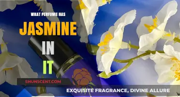 Discover Enchanting Jasmine Perfumes: Top Scents with Floral Elegance