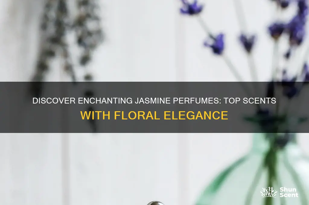 what perfume has jasmine in it