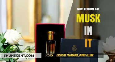 Discover Musk-Infused Perfumes: Top Scents with Sensual Musk Notes